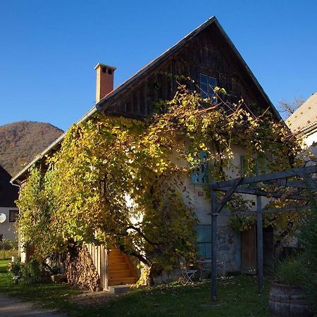 Vintage House Podliparska Casa de hóspedes Fara Exterior foto