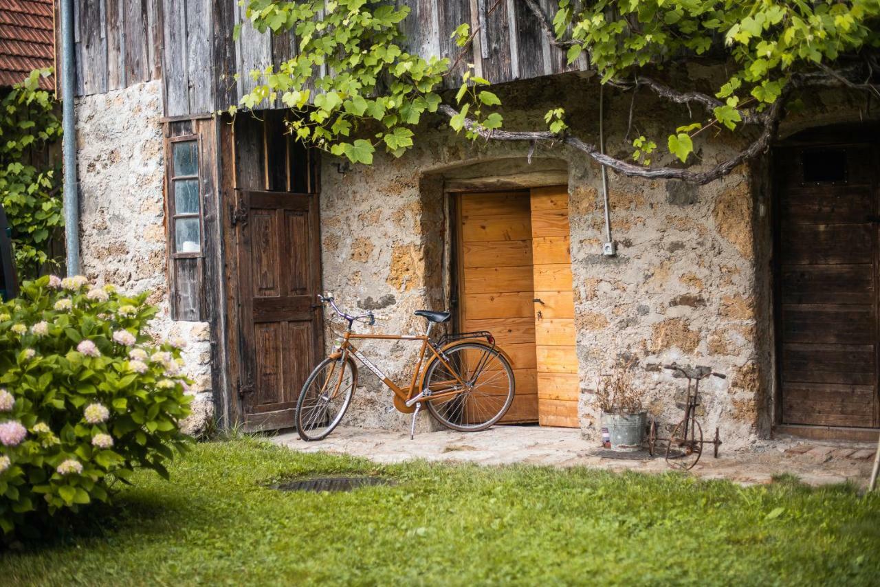 Vintage House Podliparska Casa de hóspedes Fara Exterior foto